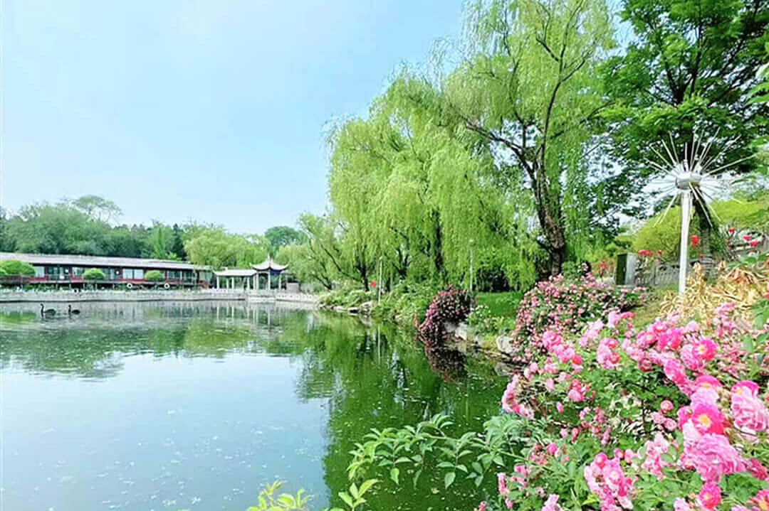 临沂宝泉胜境：深耕文旅融合 绘就“十五五”高质量发展新画卷